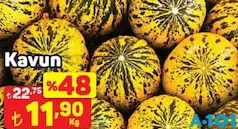 KAVUN KG fiyat ve kampanya bilgisi